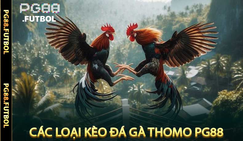 Các Loại Kèo Đá Gà Thomo PG88 Phổ Biến